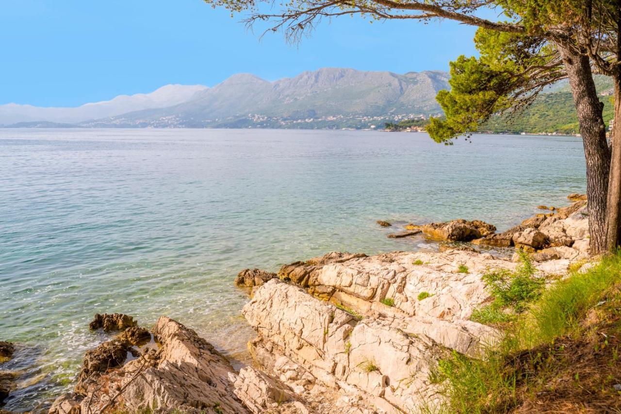 Cavtat - Panoramic Sea View 아파트 외부 사진