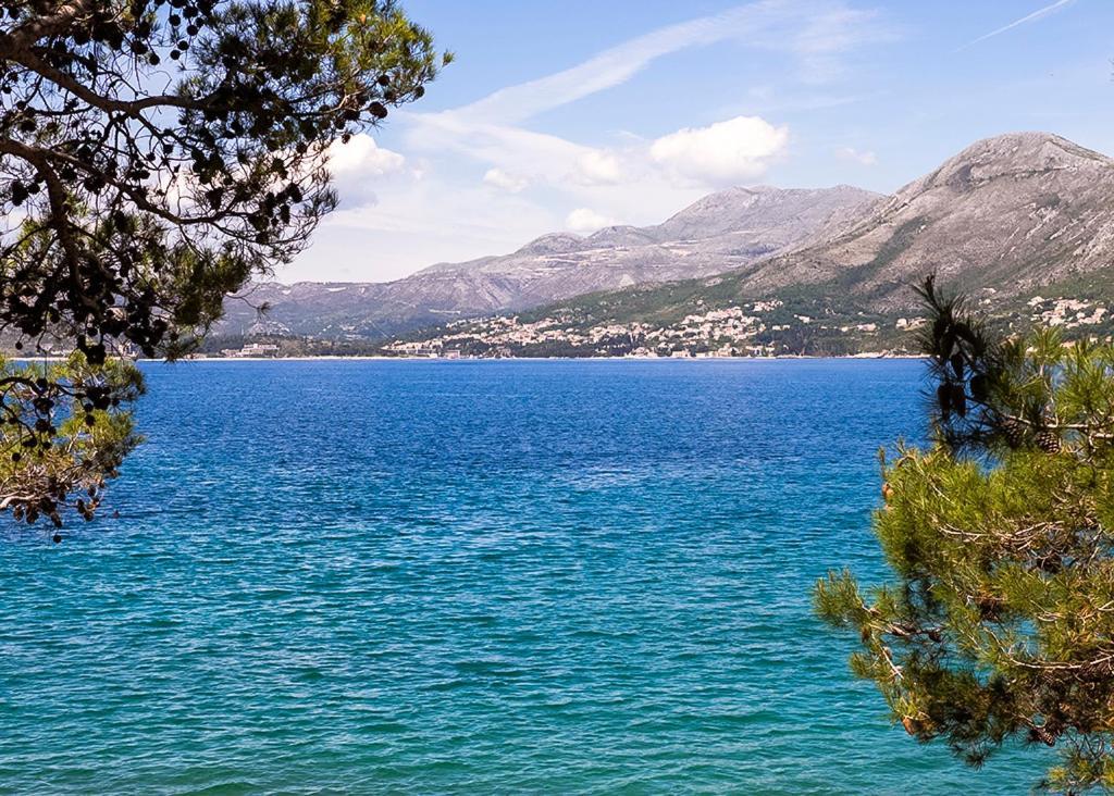 Cavtat - Panoramic Sea View 아파트 외부 사진