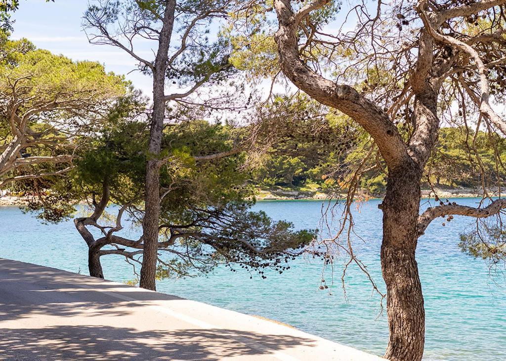 Cavtat - Panoramic Sea View 아파트 외부 사진